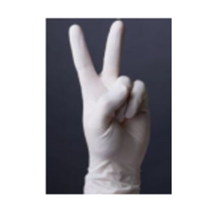 Latex examination gloves 9 inch powdered